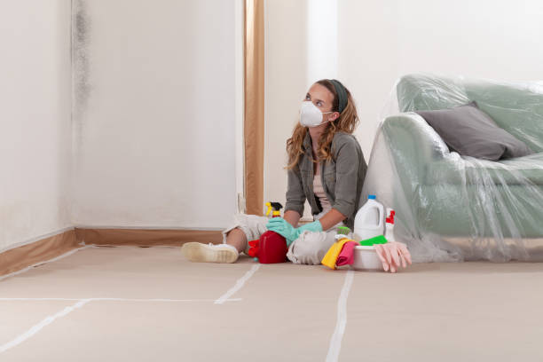 Reliable Black Mold Removal contractor in Ridgefield Park, NJ by WQB Mold Removal